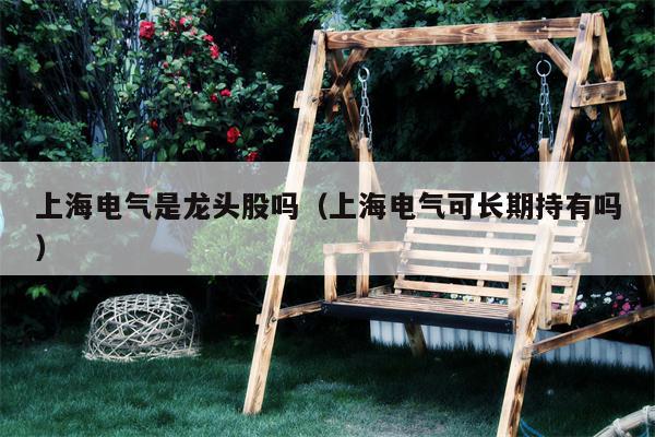 上海电气是龙头股吗（上海电气可长期持有吗）