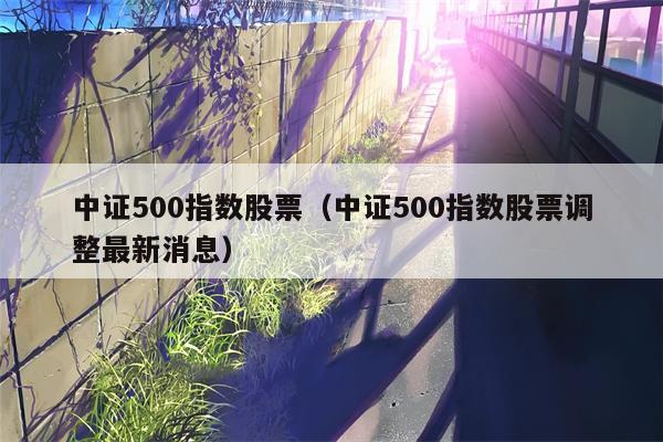 中证500指数股票（中证500指数股票调整最新消息）