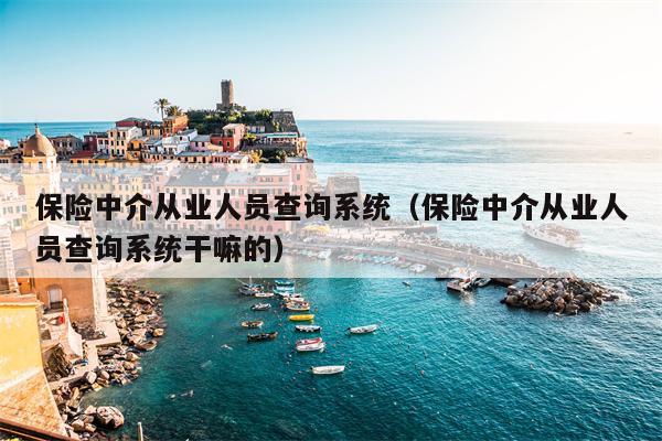 保险中介从业人员查询系统（保险中介从业人员查询系统干嘛的）