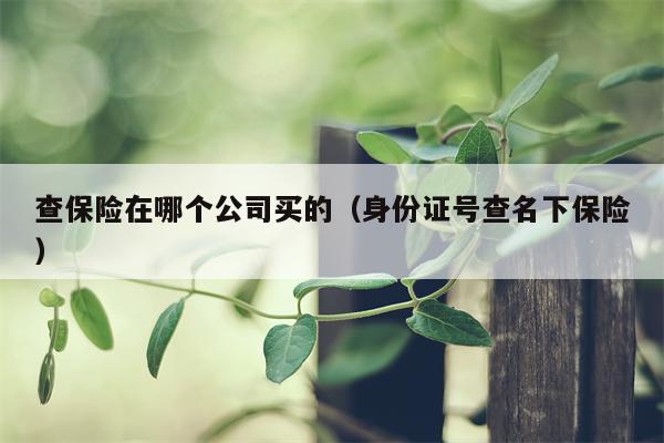 查保险在哪个公司买的（身份证号查名下保险）