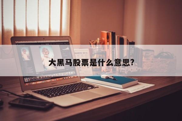 大黑马股票是什么意思?