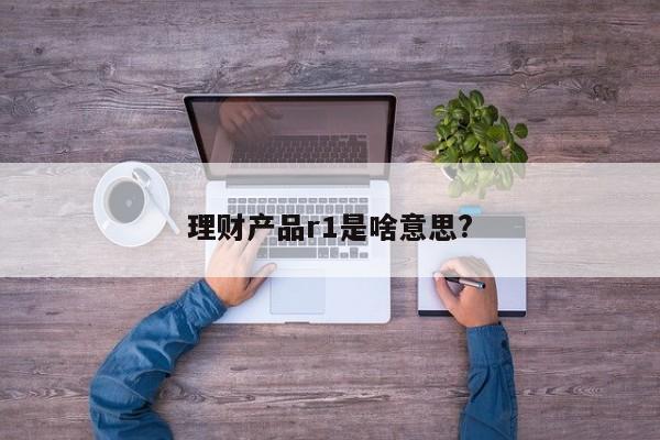 理财产品r1是啥意思?
