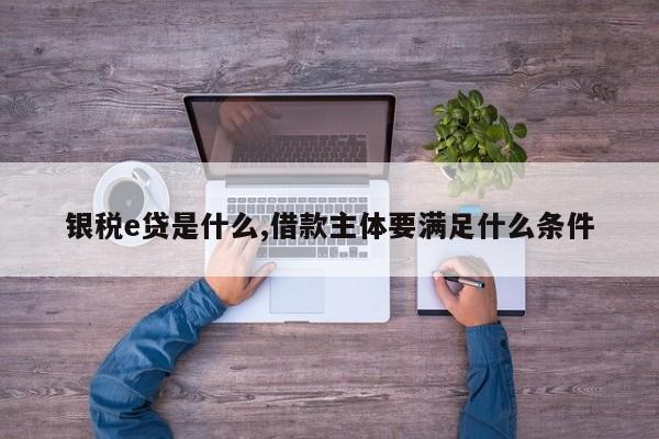 银税e贷是什么,借款主体要满足什么条件