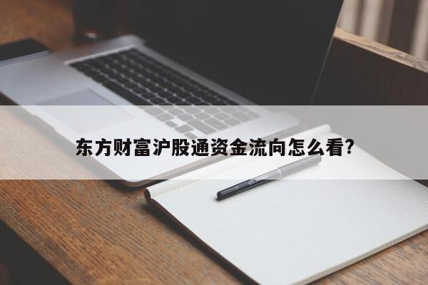 东方财富沪股通资金流向怎么看?