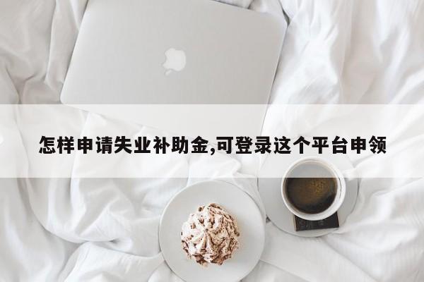 怎样申请失业补助金,可登录这个平台申领