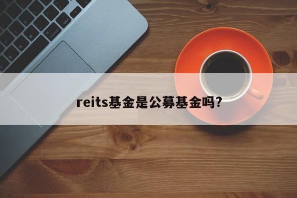 reits基金是公募基金吗?