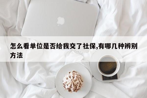 怎么看单位是否给我交了社保,有哪几种辨别方法